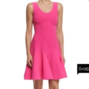 Derek Lam 10 Crosby hot pink dress size 2.